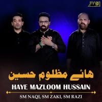 Haye Mazloom Hussain S. M. Zaki,S. M. Naqi,S. M. Razi Song Download Mp3