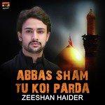 Hin Bhenri Be Rida Zeeshan Haider Song Download Mp3