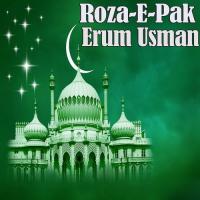 Door Hun Main Daiyar-e-Nabi Se Erum Usman Song Download Mp3