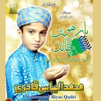 Hazir Hain Tere Muhammad Ilyas Qadri Song Download Mp3