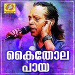 Palom Palom Jithesh Kakkidippuram Song Download Mp3