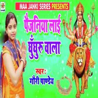 Paijniya Lai Ghughru Wala Gauri Pandey Song Download Mp3