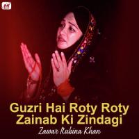 Guzri Hai Roty Roty Zainab Ki Zindagi Zawar Rubina Khan Song Download Mp3