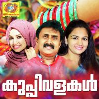 Ravininnoru Satheesh Babu Song Download Mp3