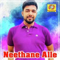 Neethane Alle Saleem Kodathoor Song Download Mp3