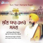 Mohe Na Bisaro Bhai Nirmal Singh Ji Khalsa Song Download Mp3