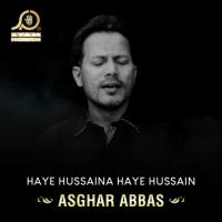 Haye Hussaina Haye Hussain Asghar Abbas Song Download Mp3