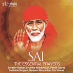 Sai Samadhi Ke Sau Varsh Sadhana Sargam Song Download Mp3