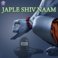 Om Namah Shivaya Vighnesh Ghanapaathi,Gurumurthi Bhat,Shridhara Bhat Song Download Mp3