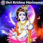 Jai Govinda Gopala Sanjeevani Bhelande Song Download Mp3