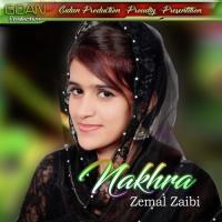 Bassaka Eid Zeemal Zaibi Song Download Mp3