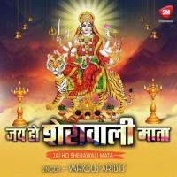 Tohar Mahima Baa Aprampar Tripti Shakya Song Download Mp3