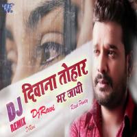 Deewana Tohar Mar Jayi (Dj Ravi) (Unplugged) Dj Ravi,Ritesh Pandey Song Download Mp3