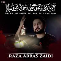 Tum Bin Kai Raaton Say Main Soye Nahi Baba Syed Raza Abbas Zaidi Song Download Mp3