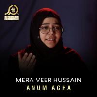 Mera Veer Hussain Anum Agha Song Download Mp3