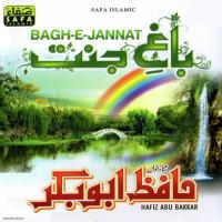 Sabz Gumbad Basa Hai Hafiz Abu Bakkar Song Download Mp3