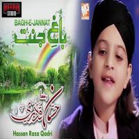 Bagh E Jannat Hassan Raza Qadri Song Download Mp3