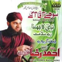 Sarkar Diyan Kiya Baatan Hafiz Ahmed Raza Qadri Song Download Mp3