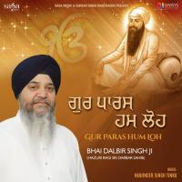 Jis Nu Teri Nadar Na Lekha Puchiye Bhai Dalbir Singh Ji (Hazuri Ragi Sri Darbar Sahib) Song Download Mp3