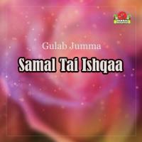 Wahday Mana To Geer Bay Gulab Jumma Song Download Mp3