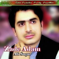 Zalimak Ust Pareshane Ali Sagar Song Download Mp3