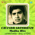 Rasaleelakku (From "Aabhijathyam") B. Vasantha,K.J. Yesudas Song Download Mp3