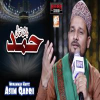 Hamd E Bari Taala Muhammad Hafiz Asim Qadri Song Download Mp3