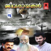 Amme Nidhiye Bibin Erumely Song Download Mp3