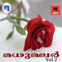 Sindurapoove Ameer Song Download Mp3