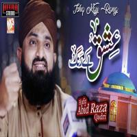 Ishq Kay Rang Hafiz Abid Raza Qadri Song Download Mp3