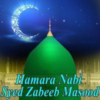 Allah Hu Syed Zabeeb Masood Song Download Mp3