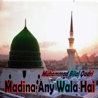 Qurban Meri Jan Muhammad Bilal Qadri Song Download Mp3