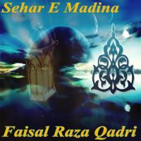 Utha Rahe Hai Hussain Faisal Raza Qadri Song Download Mp3