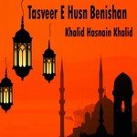 Tasveer-e-Husn Benishan Khalid Hasnain Khalid Song Download Mp3