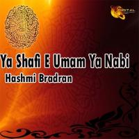 Ya Shafi-e-Umam Ya Nabi Hashmi Bradran Song Download Mp3