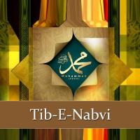 Bhook Na Lagne Ki Dua Tib-e-Nabvi Song Download Mp3