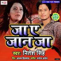 Ja Ae Jaan Ja Tu Dil Lagai Ke Nitesh Singh Song Download Mp3