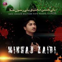 Haye Hassan Mujtaba Haye Rasool E Khuda Minhaj Zaidi Song Download Mp3