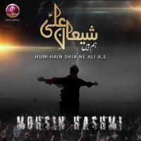 Hum Hain Shia Ne Ali Mohsin Hashmi Song Download Mp3