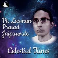 Raga Bhatiyar - Khyal In Drut Teentaal Pandit Jaipurwale,Pt. Laxman Prasad Jaipurwale Song Download Mp3