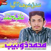 Noor Waley Aaqa Agaye Muhammad Zohaib Qadri Ashrafi Song Download Mp3