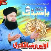 Kare Chara Saazi Ziyarat Alhajj Muhammad Owais Raza Qadri Song Download Mp3