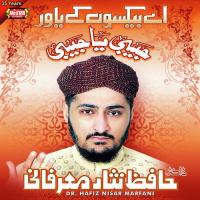 Wo Hai Muheet Dr. Hafiz Nisar Marfani Song Download Mp3