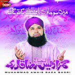 Phir Gumbad E Khazra Muhammad Awais Raza Qadri Song Download Mp3