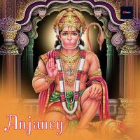 Hanuman Arti Vani Jayaram Song Download Mp3