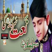 Naat Sarkar Ki Parhta Hun Syed Arsalan Shah Qadri Song Download Mp3