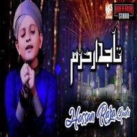 Tajdar E Haram Hassan Raza Qadri Song Download Mp3