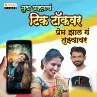 Tula Pahatach Tik Tok Var Subhash Sonvane Song Download Mp3