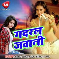 Suna A Balamua Samjhada Apna Bap Ke Shivani Priya Song Download Mp3