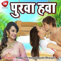 Dhodi Ta Dhan A Babu Shaheb Pappu Parwana Song Download Mp3